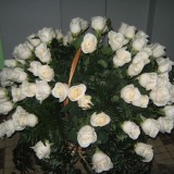 Корзина из 51 белой розы №193