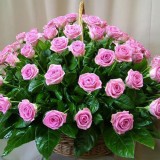 Корзина из 25 розовой розы №191